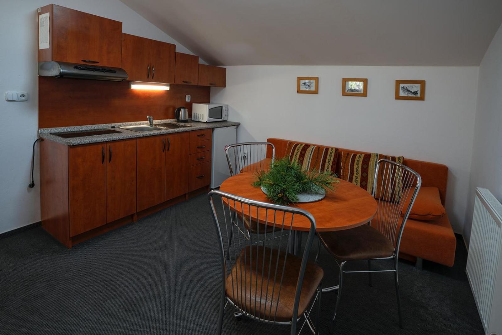 Studia Sprava Tanapu Apartment Štrbské Pleso Екстериор снимка